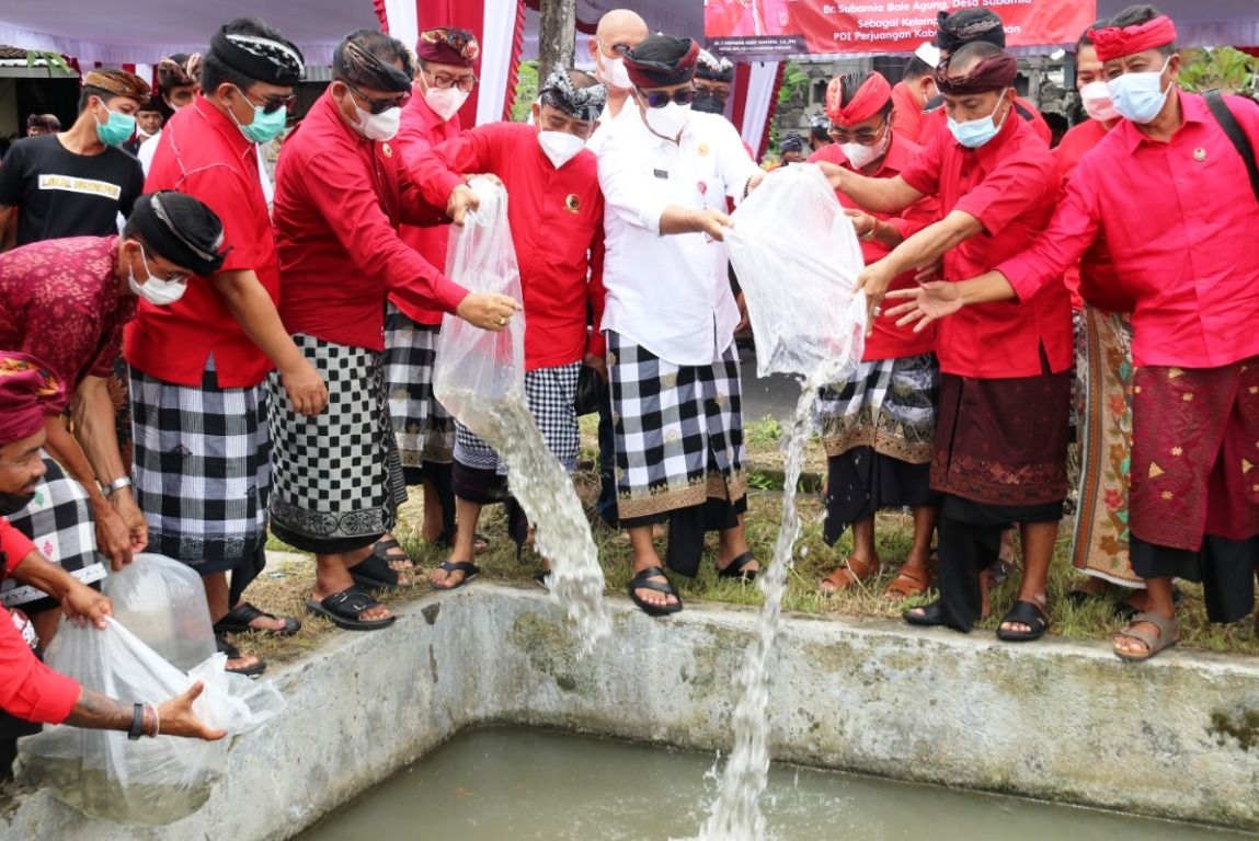 podiumnews.com-Kampung Keluarga Berkualitas-Gotong Royong, Sanjaya Bagikan 2.000 Bibit Ikan